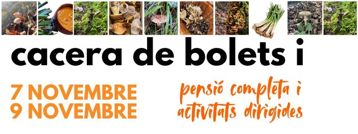 Bolets i tardor amb activitats